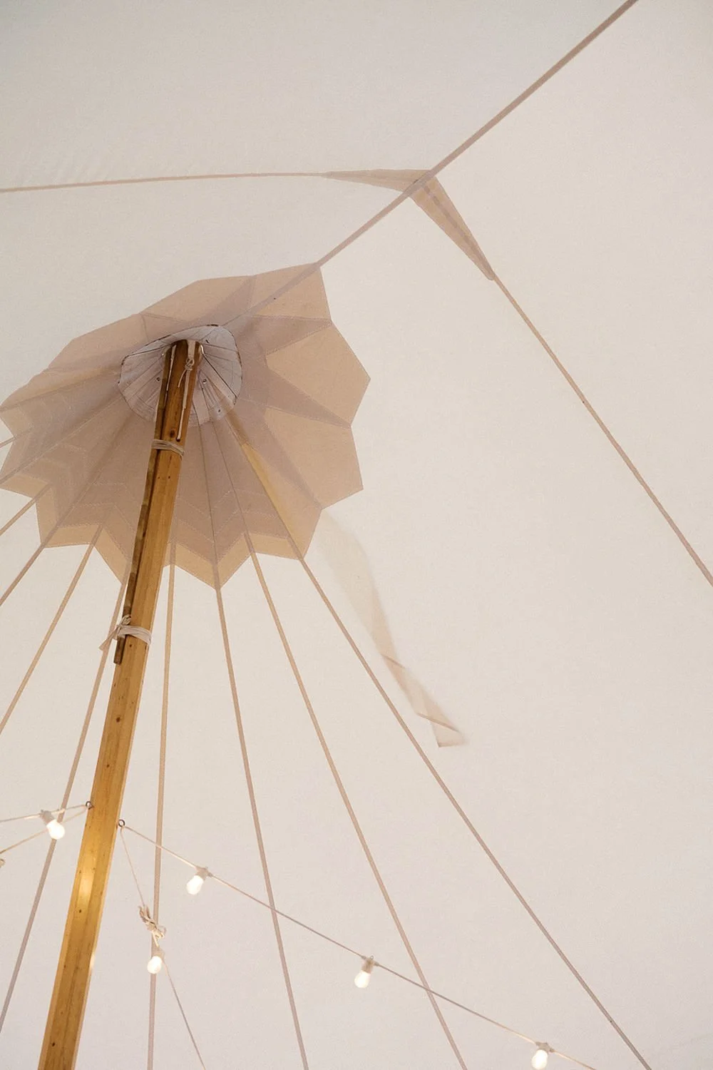 The Carly Estate Wedding-95.jpg