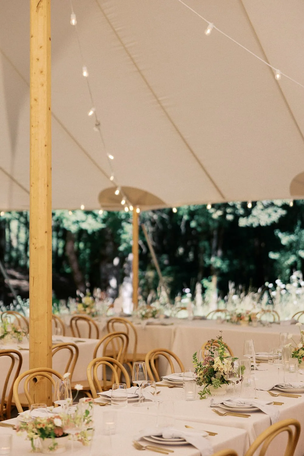 The Carly Estate Wedding-106.jpg