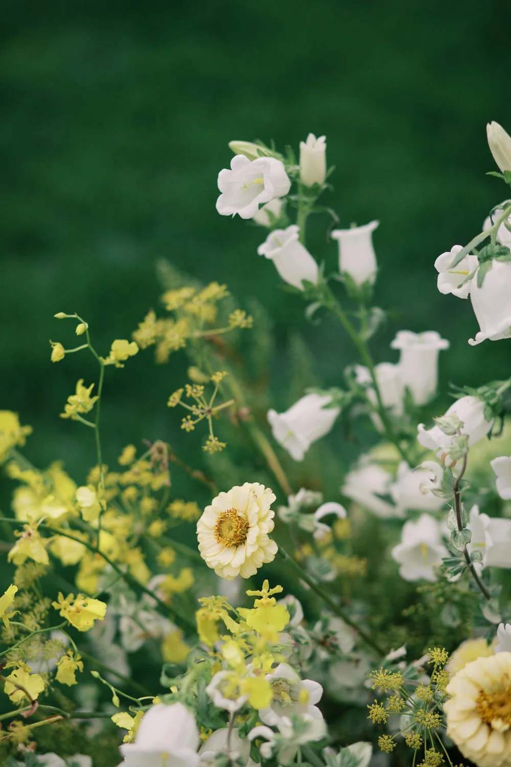 Waverley Country Club Portland Wedding-90.jpg