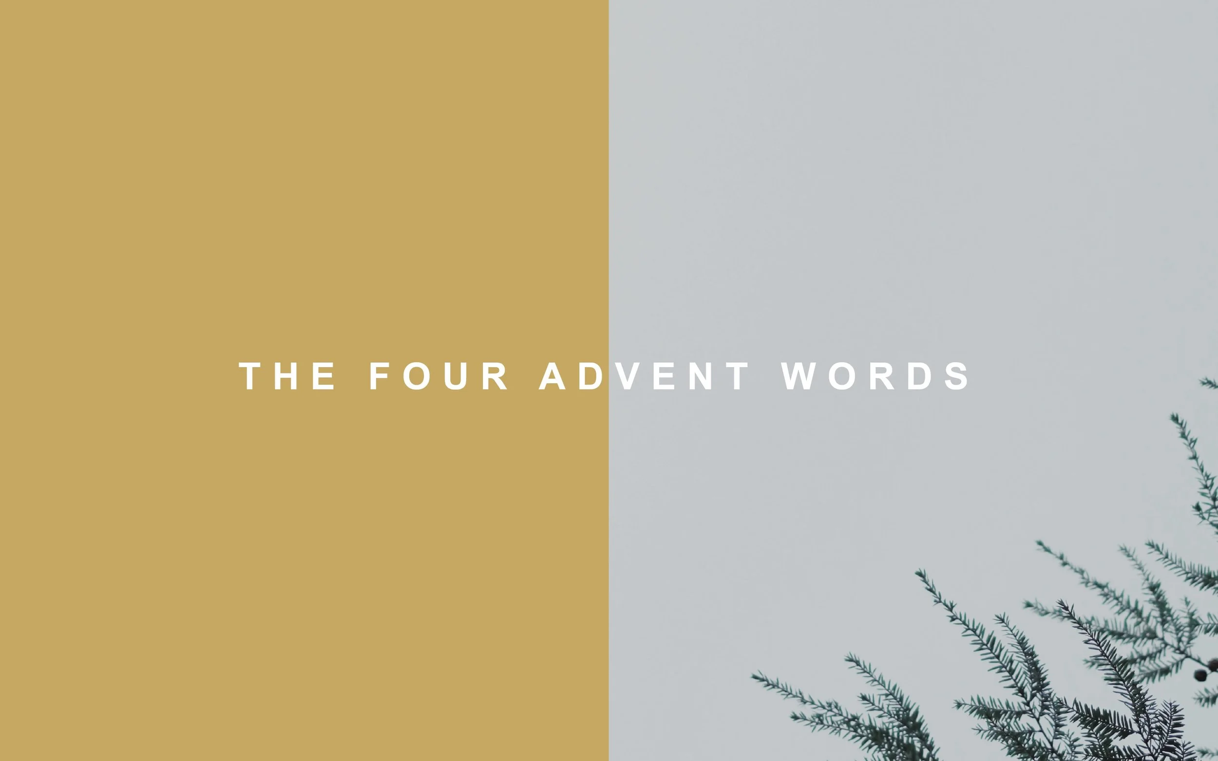 The Four Advent Words Pt. 2