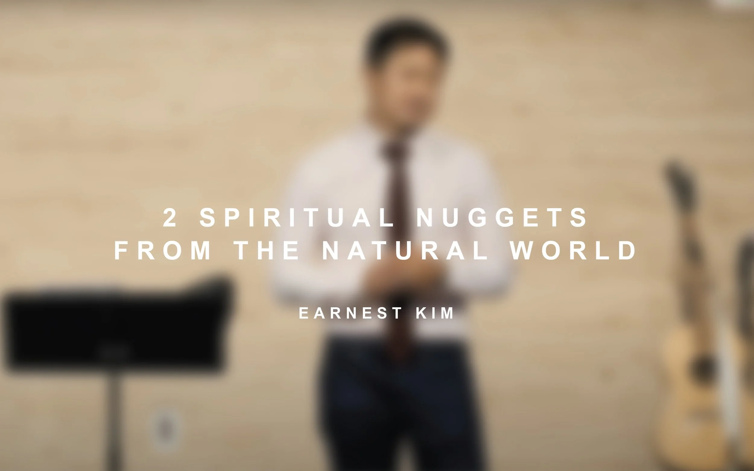 Two Spiritual Nuggets From The Natural World