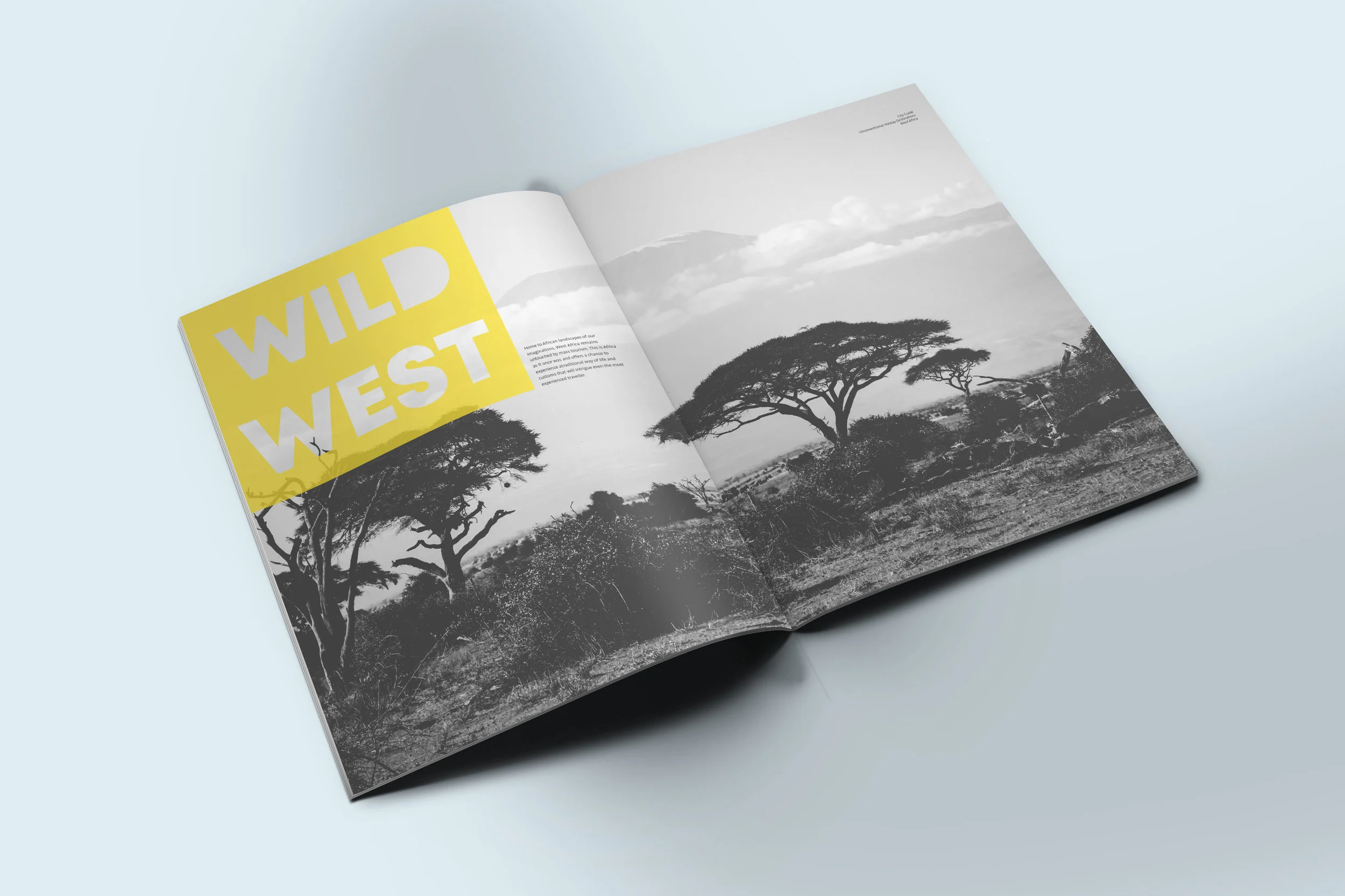 magazine_mockup_perspective.jpg