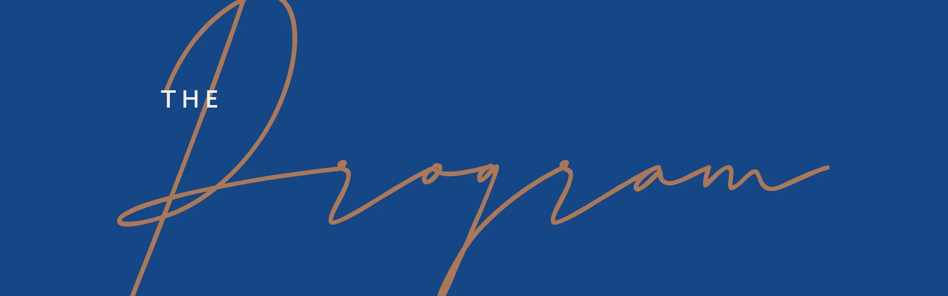 ICRF_StayHomeGala_Program.jpg