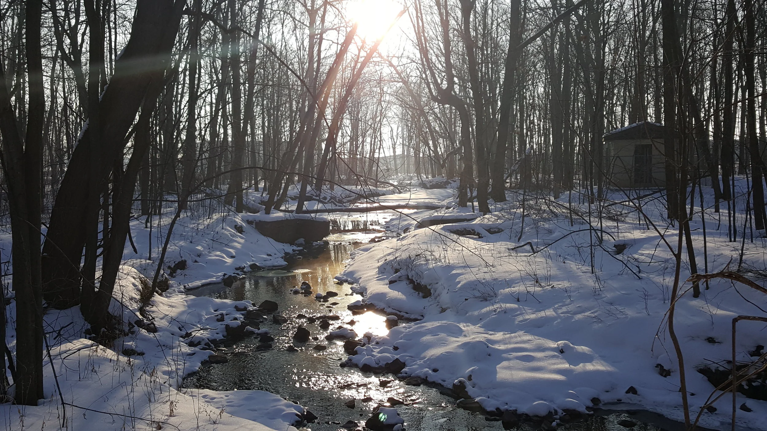 A Winter Morning