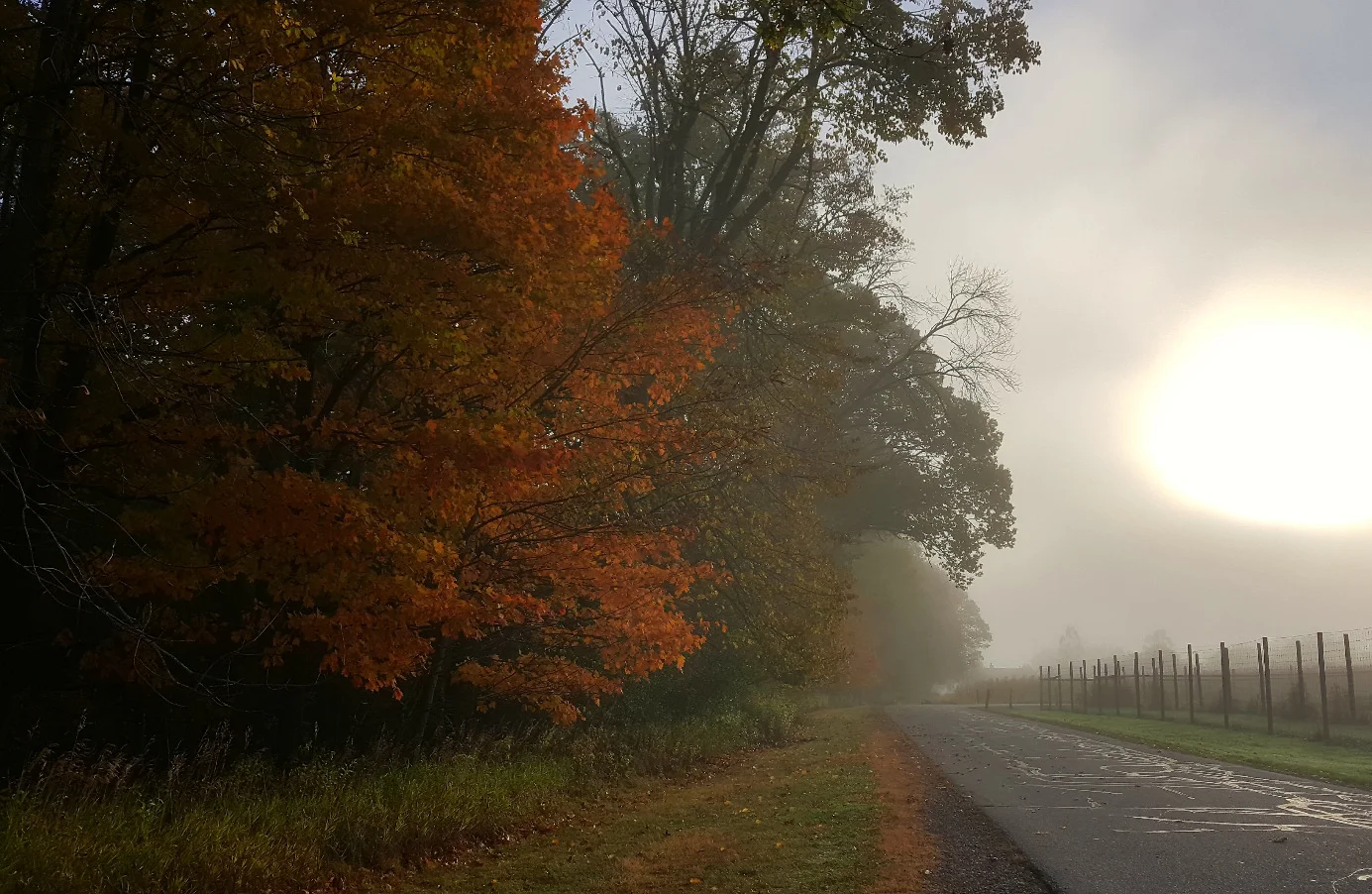 September Morn