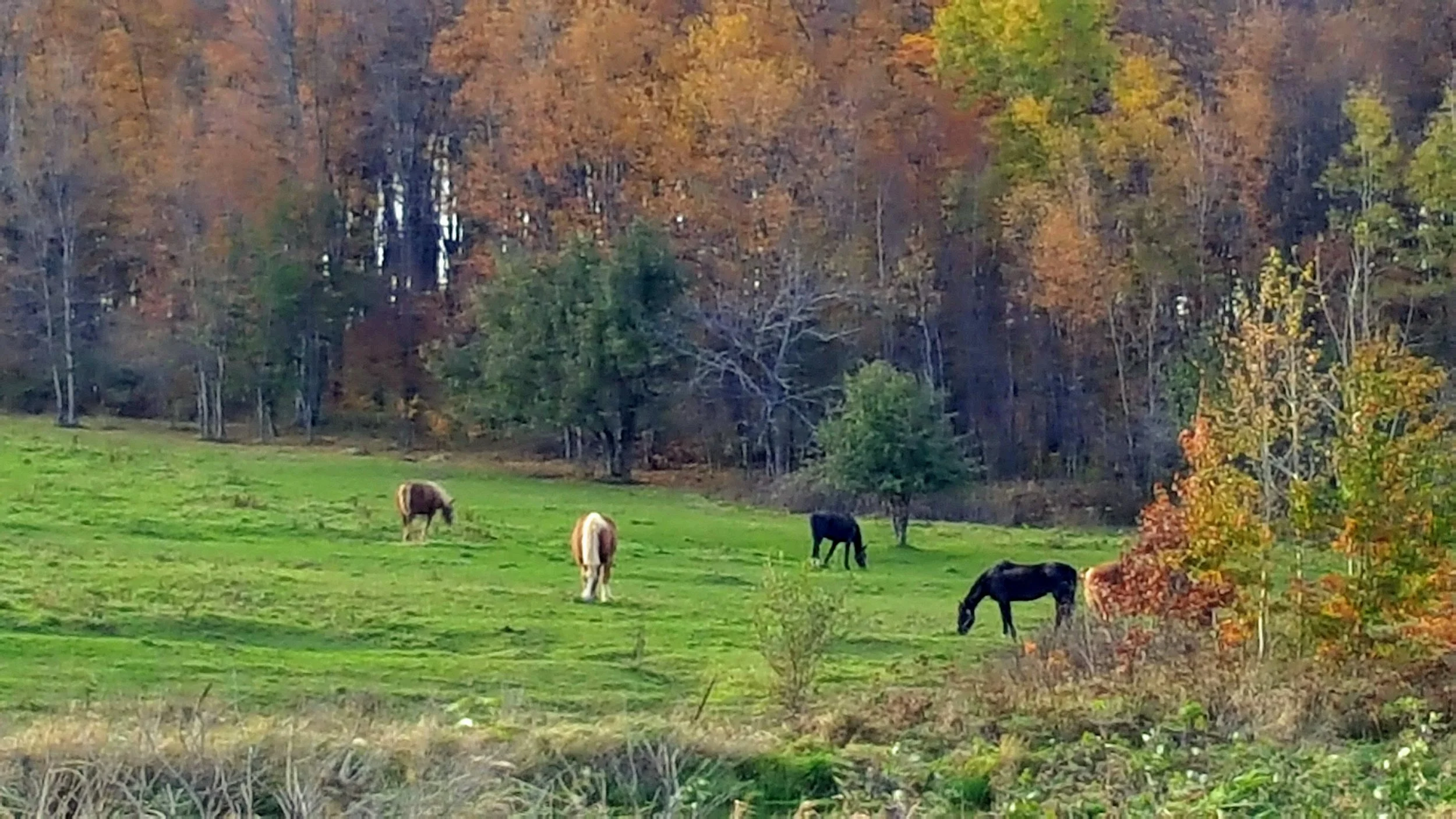 Granton in the fall