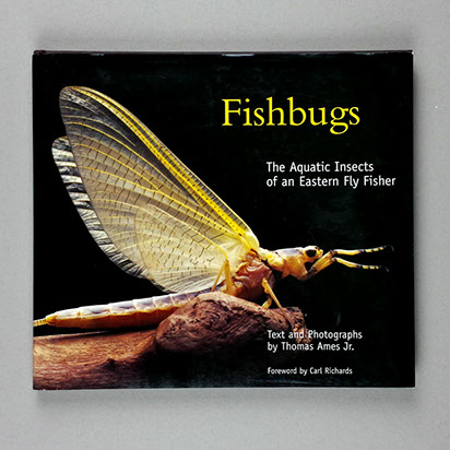 fishbugs_tn.jpg