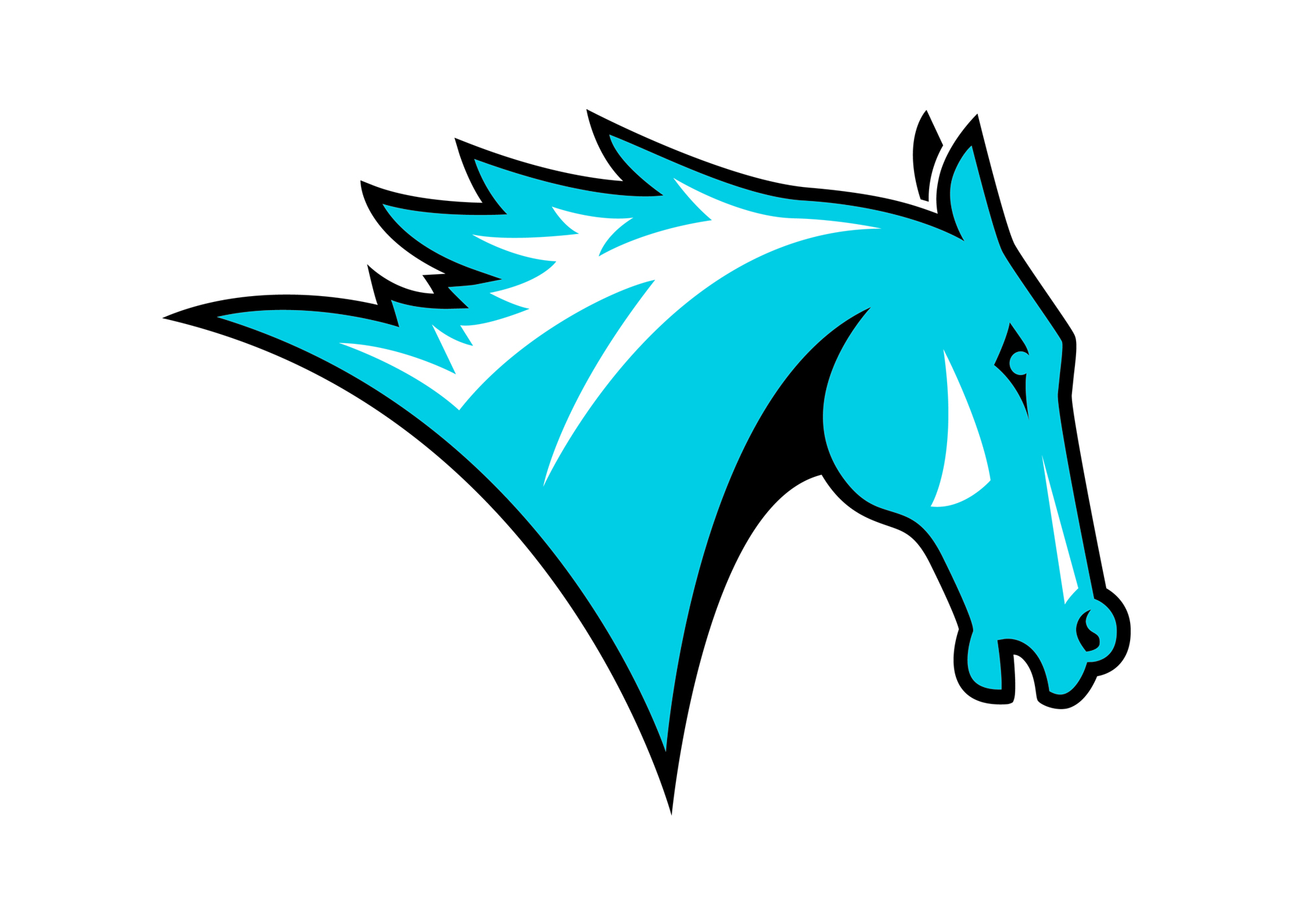 Colby-Sawyer Athletics wanted their brand to better family with the new logo/word mark we created for the College. They love this new one, and any remote similarity to the Denver Broncos mascot is considered a good thing.