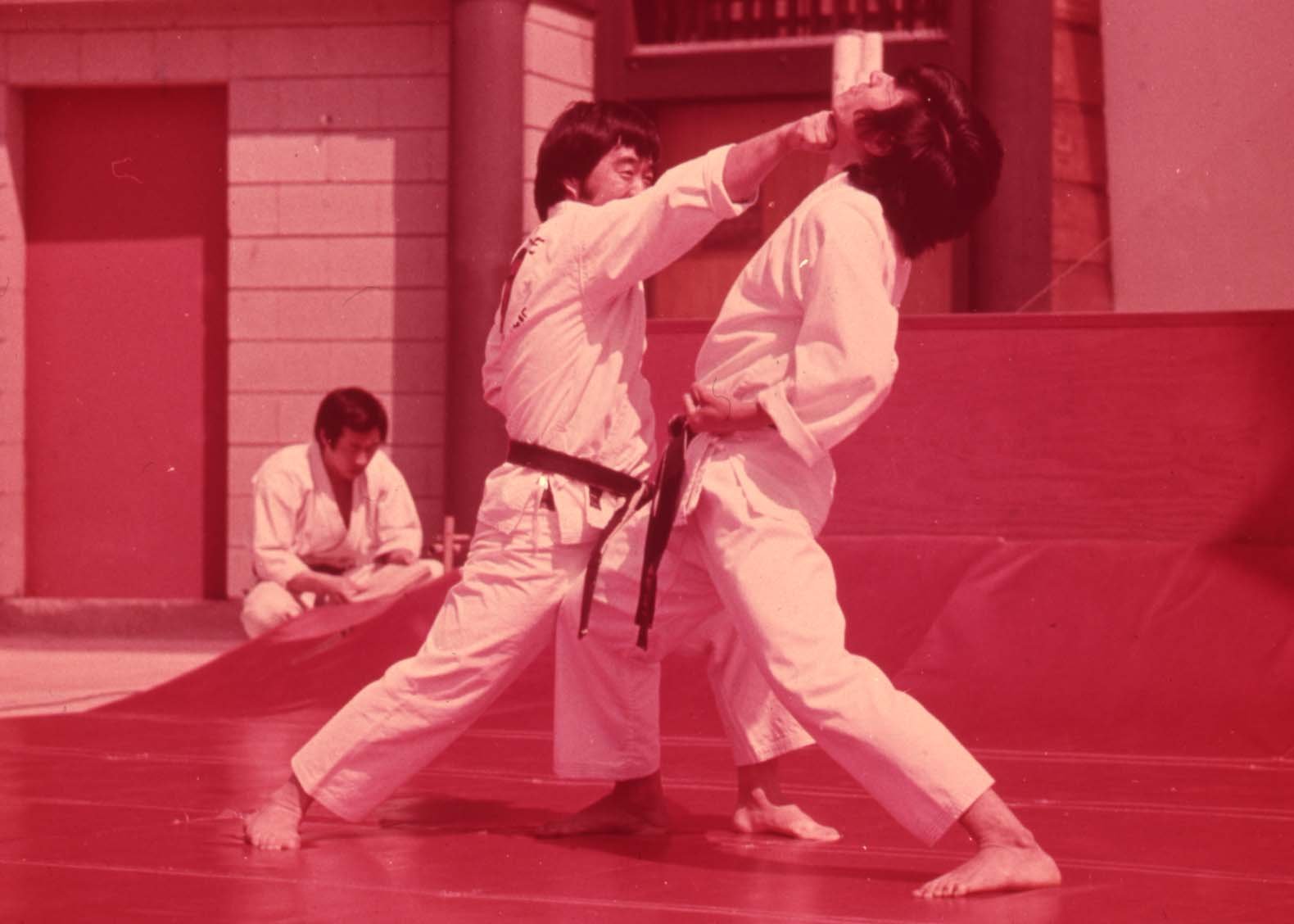 Hatch,Richard-ColorSlides45 - cmprsd.jpg