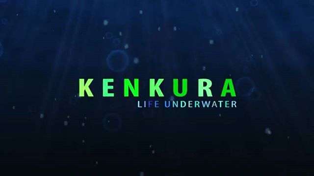 Hey! If you hadn't noticed I released a new song. It's called life underwater. It's a mix of old ideas together with gaming sounds. Nothing crazy. Check it out on my youtube. Type in 
Kenkura - life underwater
Cheers! ありがとうございましたみんあさん。

#music #kingd