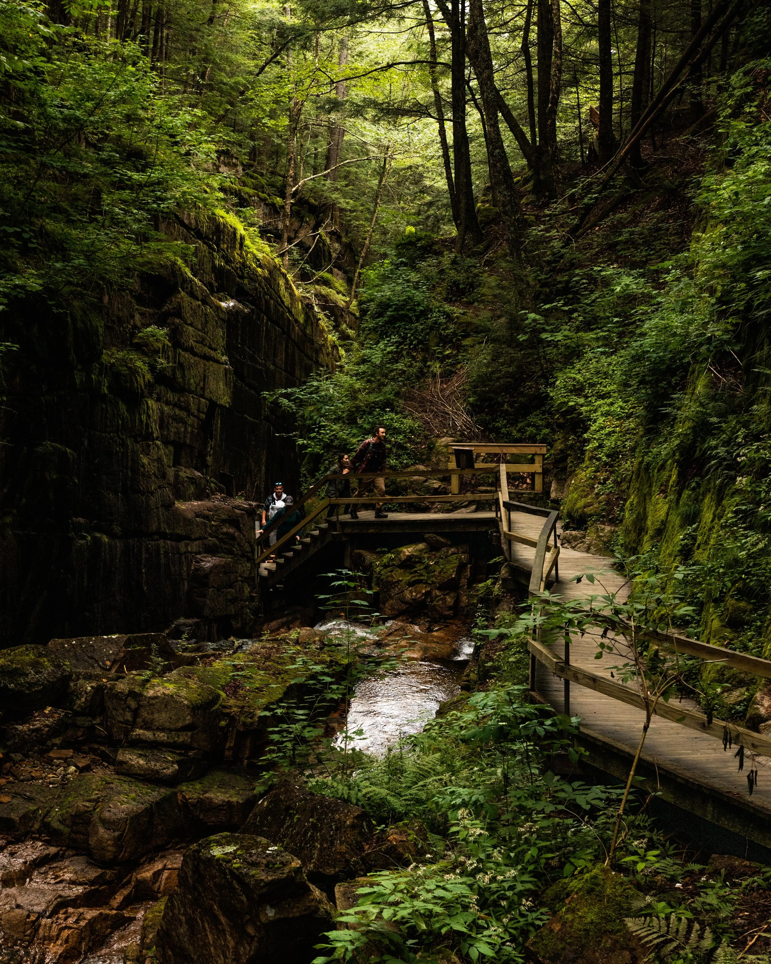 New Hampshire Summer-37.jpg
