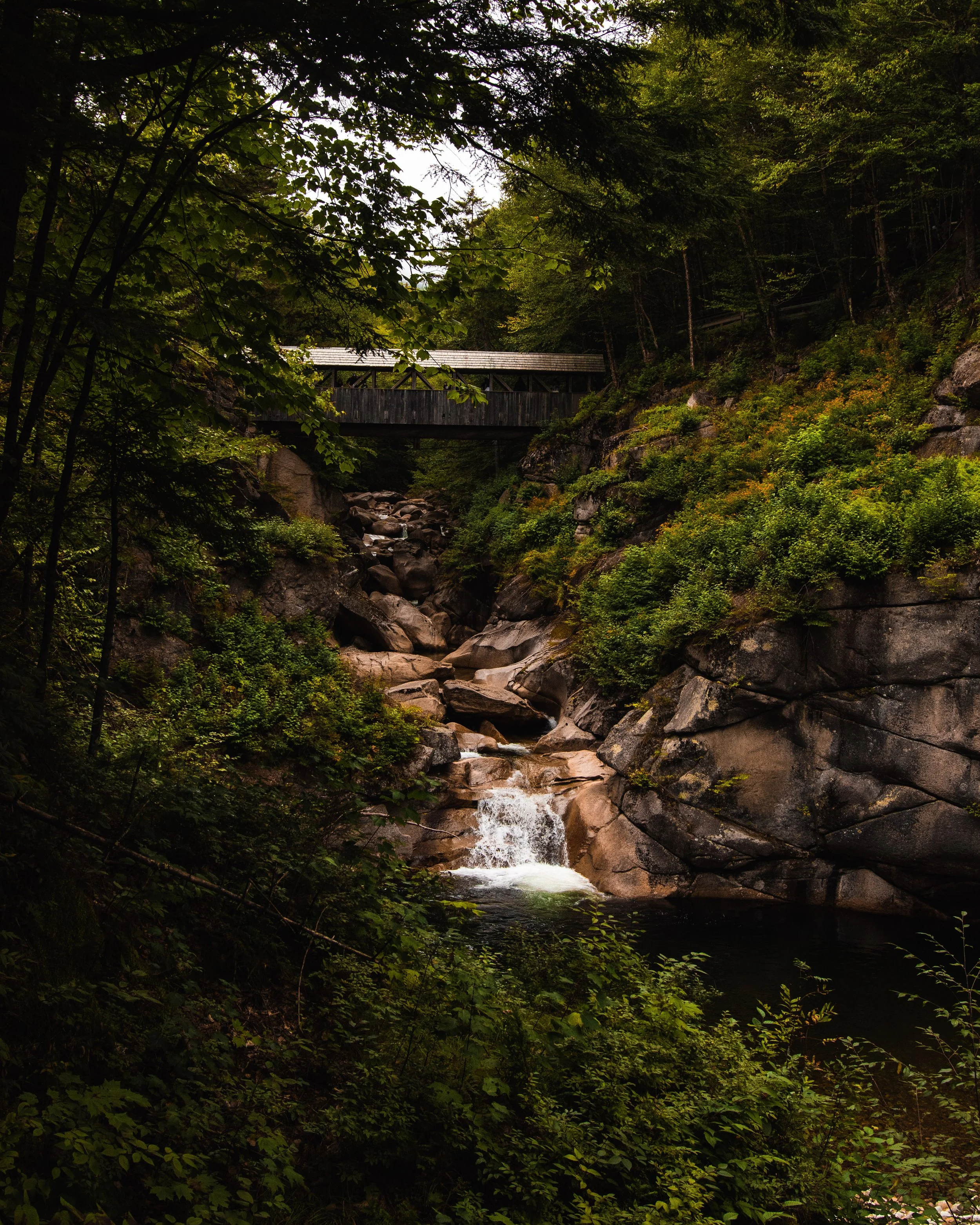 New Hampshire Summer-61.jpg