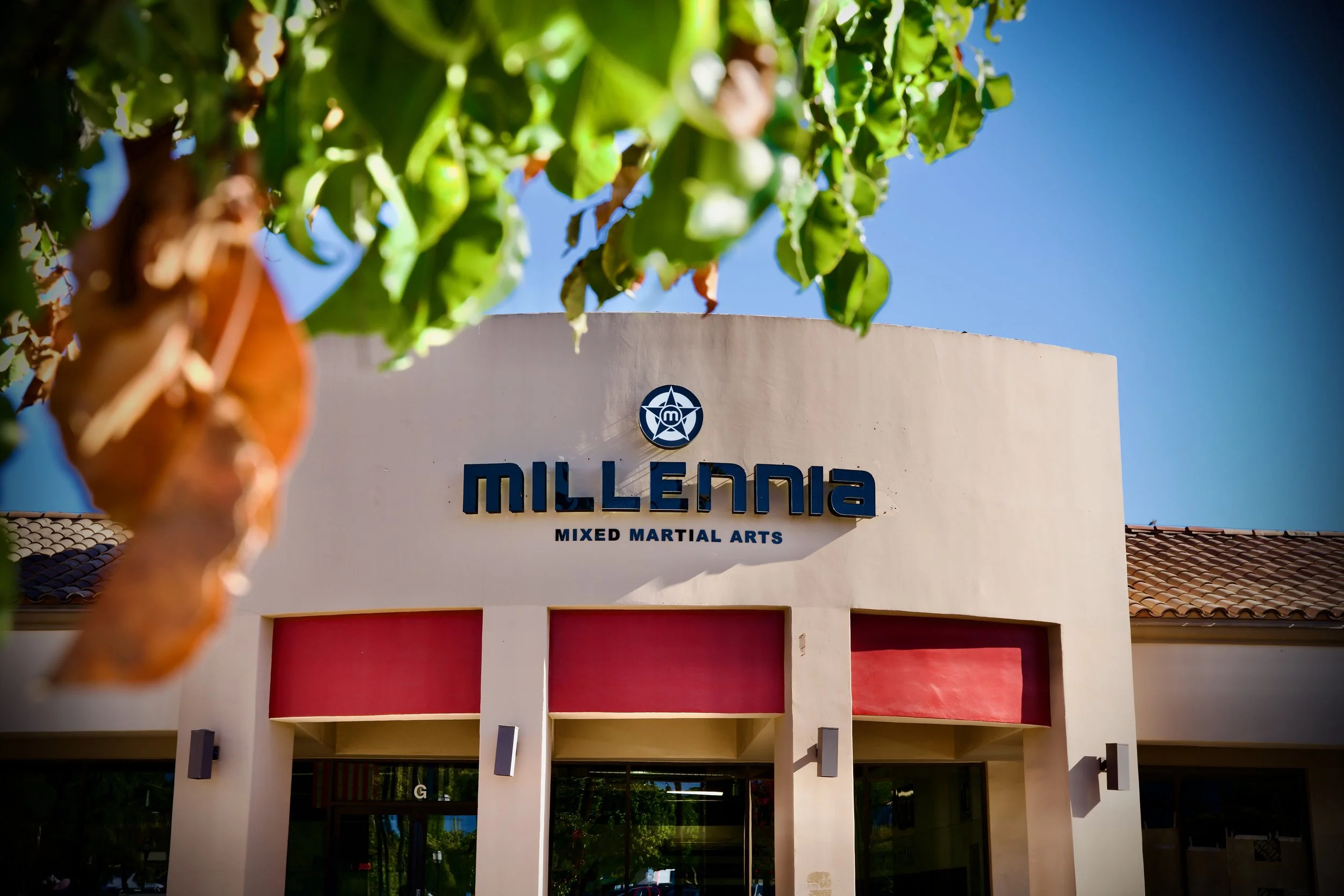 MIllennia MMA Chino