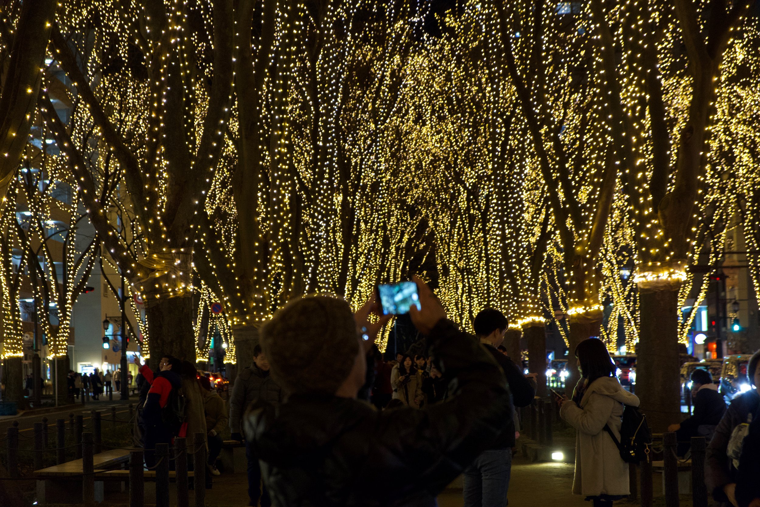 My first Christmas living in Japan