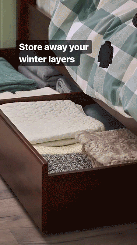 Untitled-24.gif