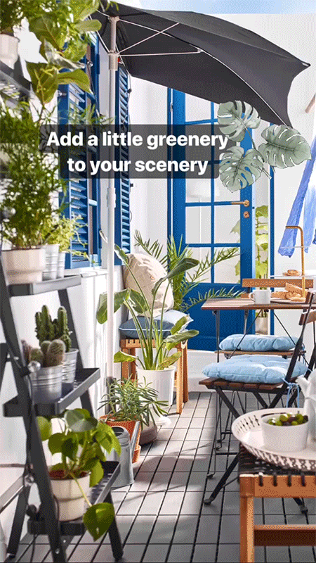 Plants.gif