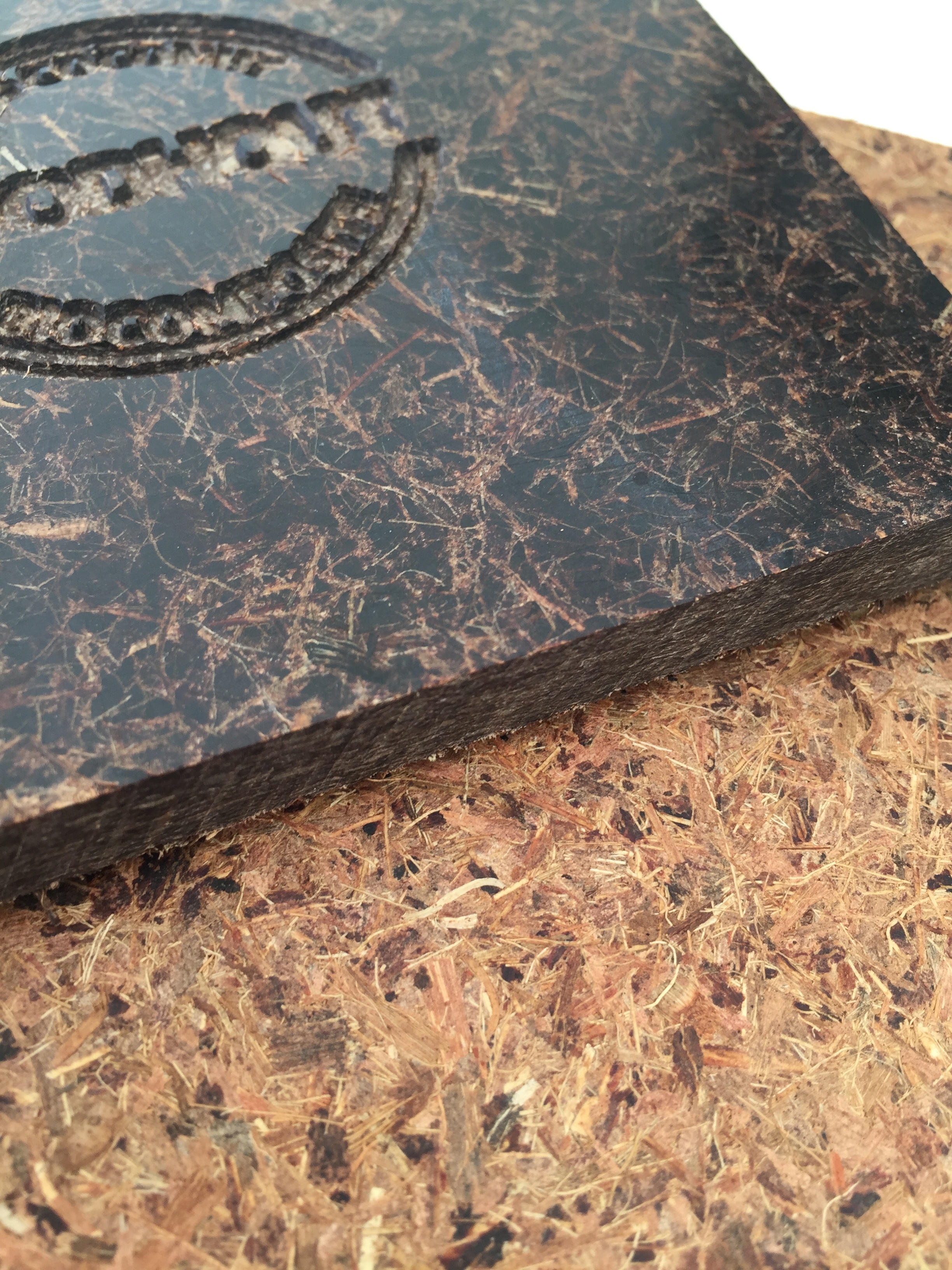 Goodhout, innovation écologique