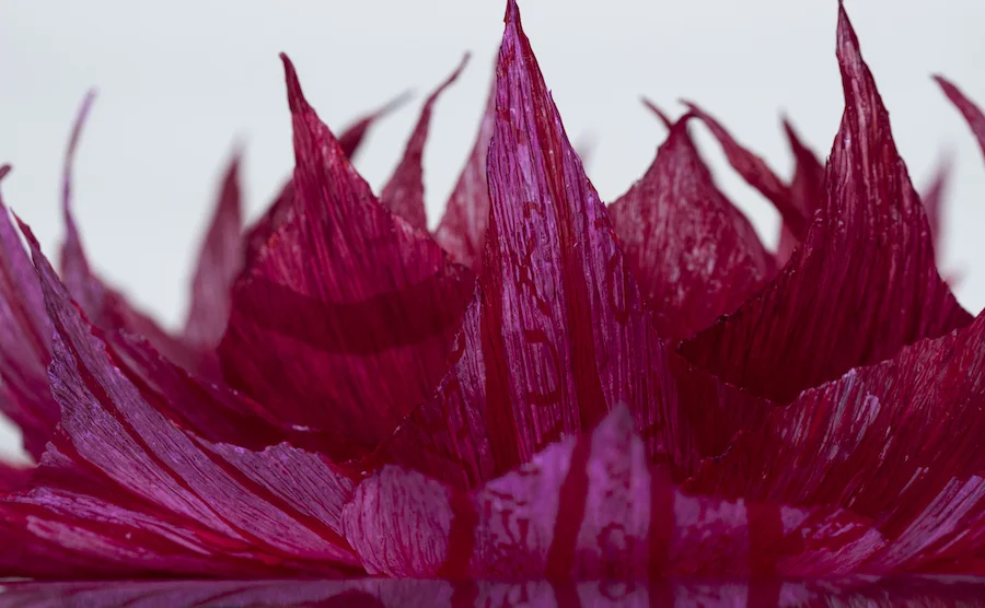 2-Sacplastique-Petalesnervures-Ornementation-Triptyque-MessagesPlissés-WilliamAmor.jpg