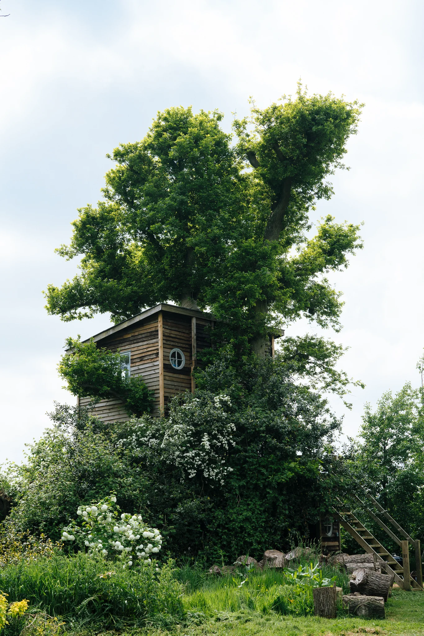 treehouse (45 of 21).jpg