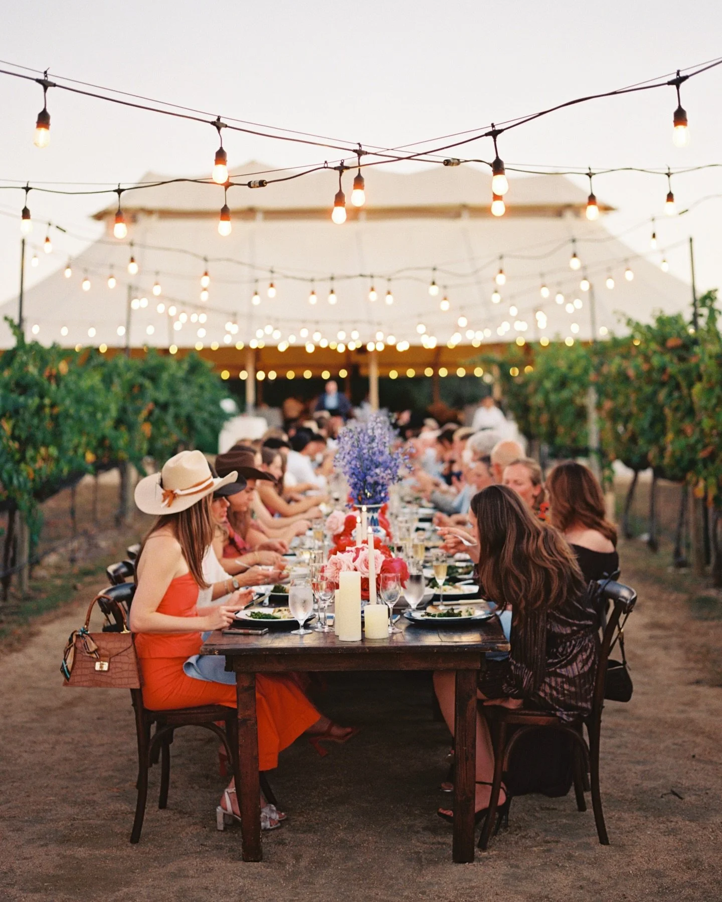 Rehearsal dinner and welcome in the vineyard 🍇 the perfect start to Ebee and Jared&rsquo;s wedding weekend!

@kristincatterevents @bouquetsofaustintx @camplucyoncreek @texassunmusic