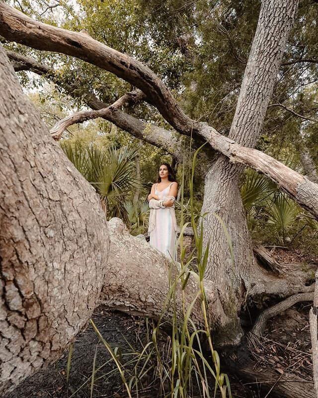in the trees @meghanfmiller