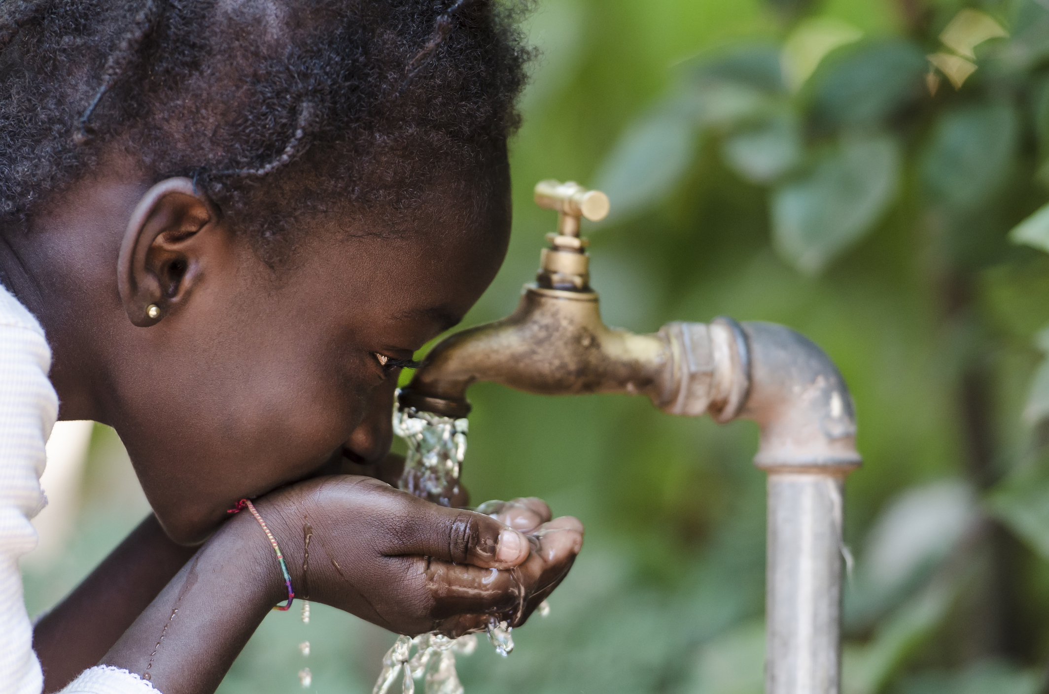 Photo by borgogniels/iStock / Getty Images