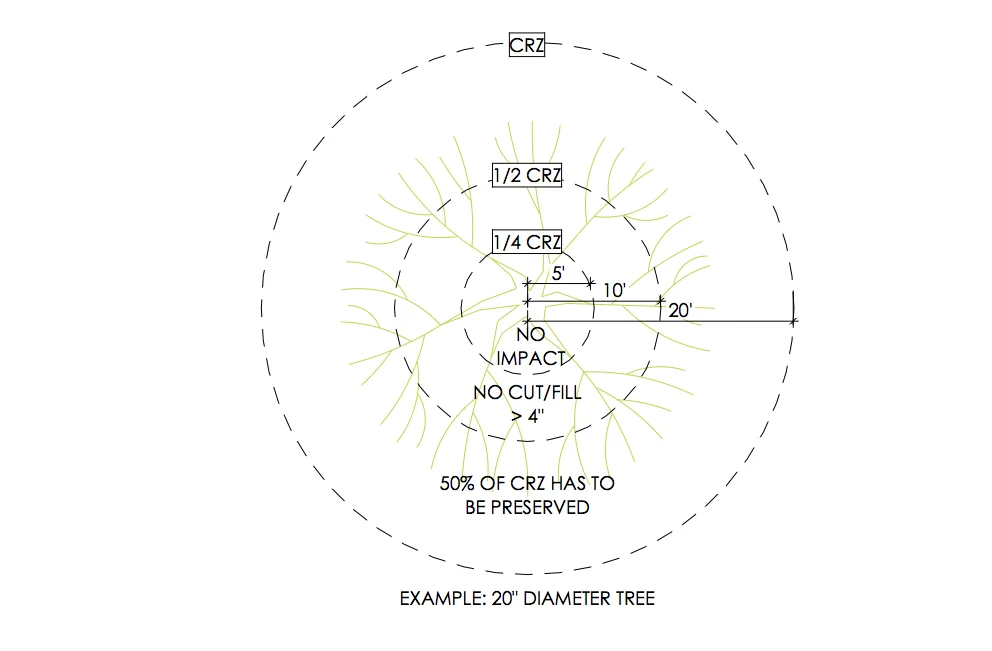Tree Critical Root Zone in Austin