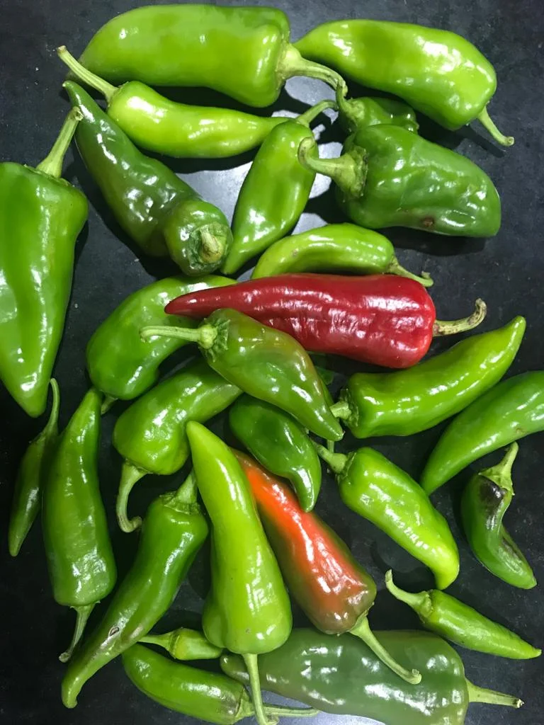 peppers.JPG