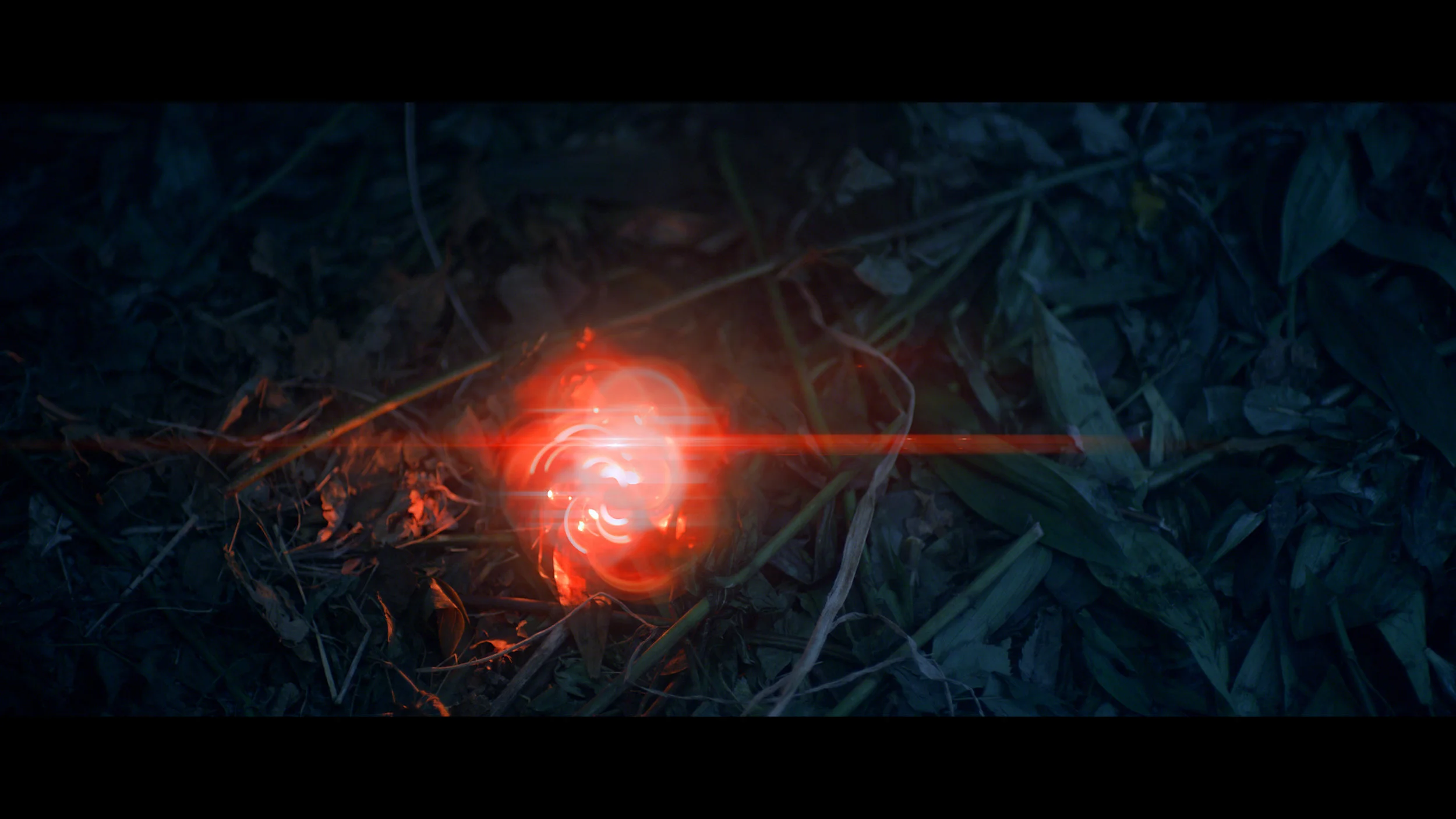 MickyAlfano_Moonshine_Fawns_UHD.mov.01_01_01_10.Still007.jpg