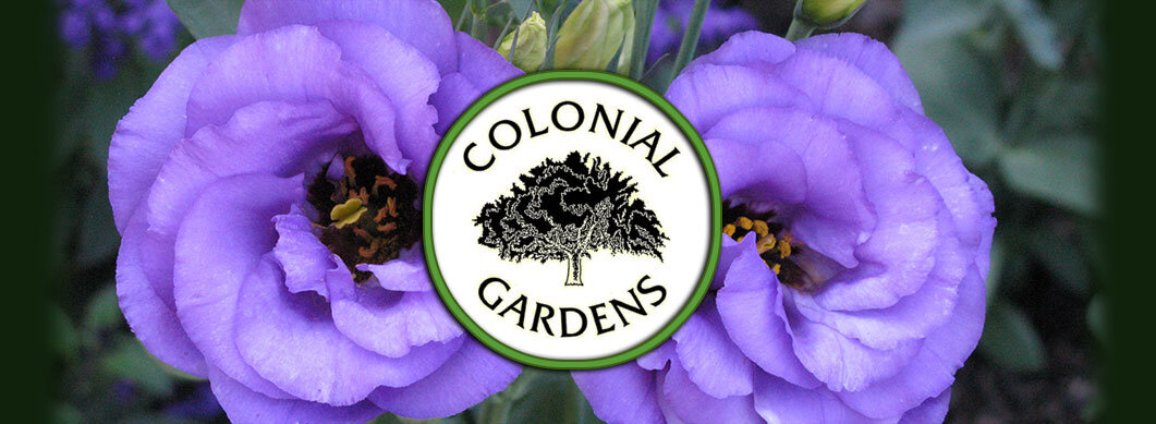 Colonial-gardens-logo.jpg