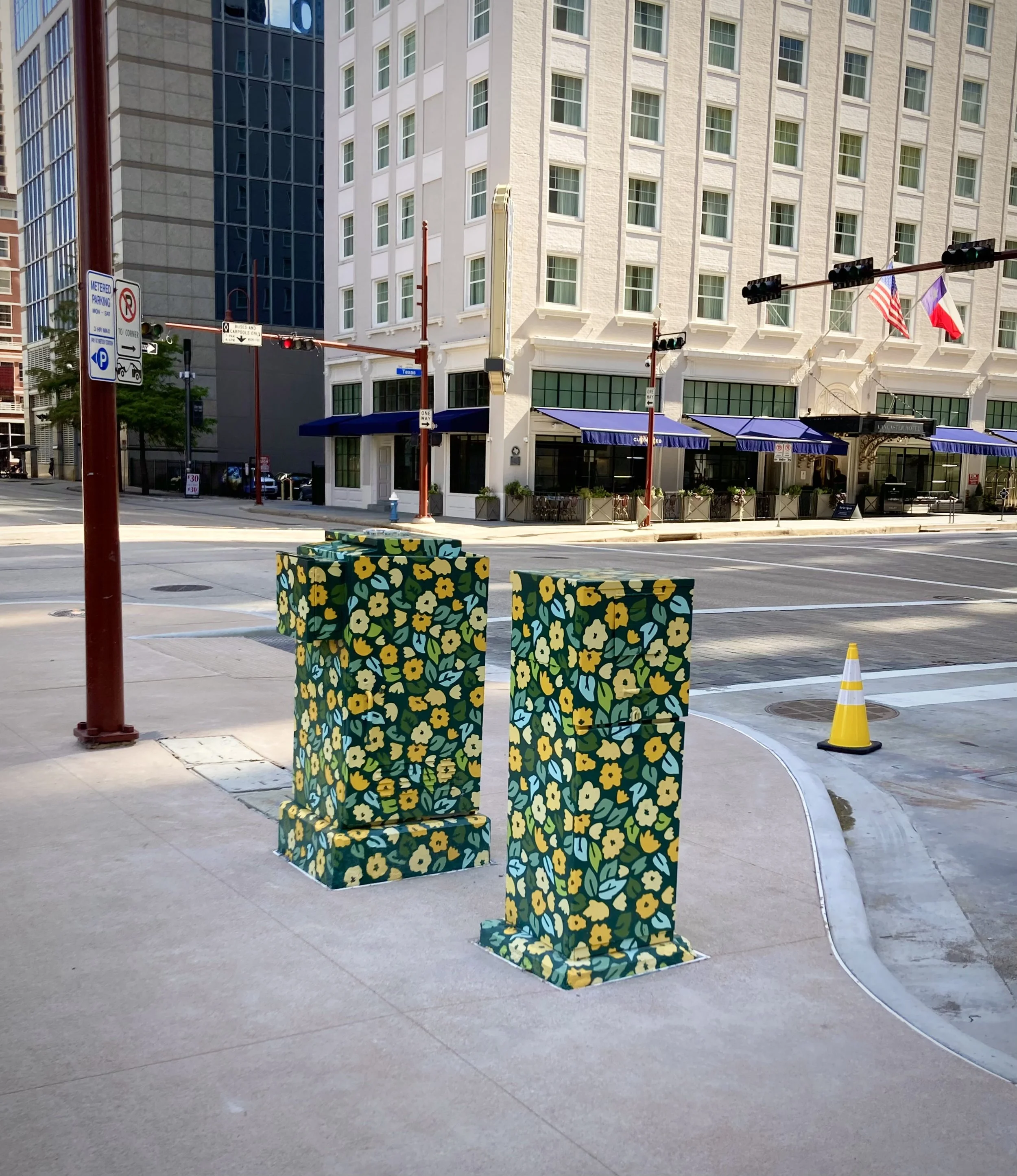 Mini Murals Utility Boxes
