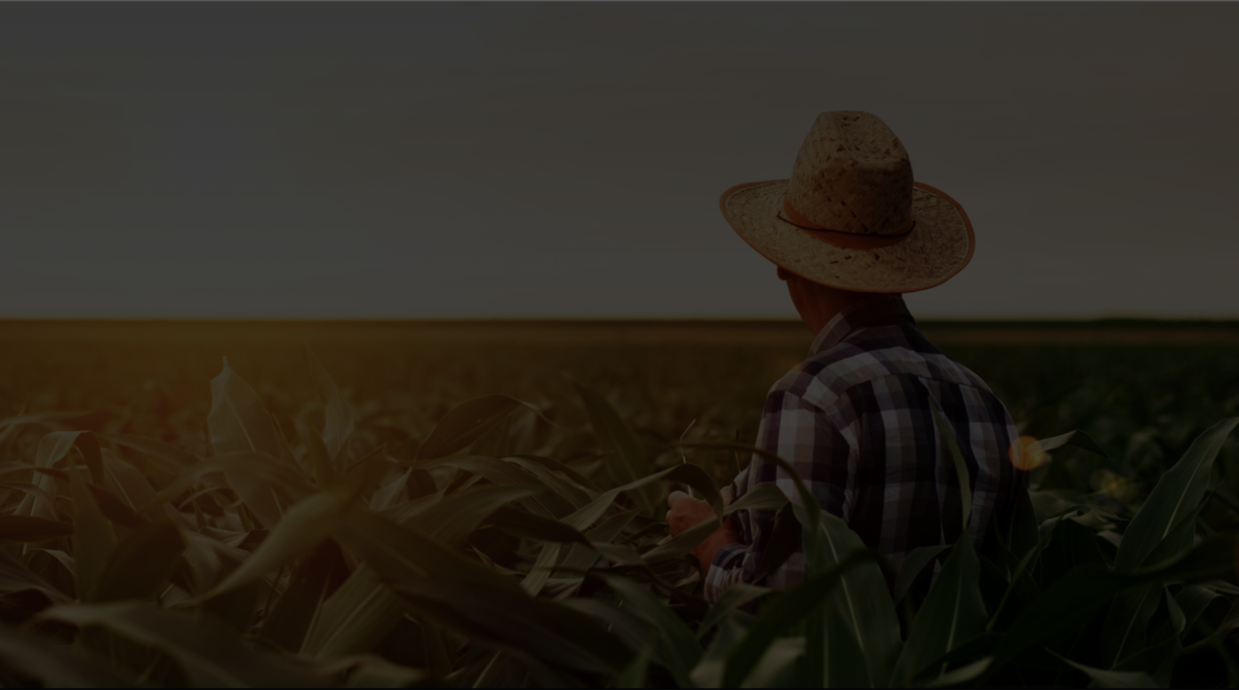 Screen Shot 2020-12-13 at 8.24.15 PM.png