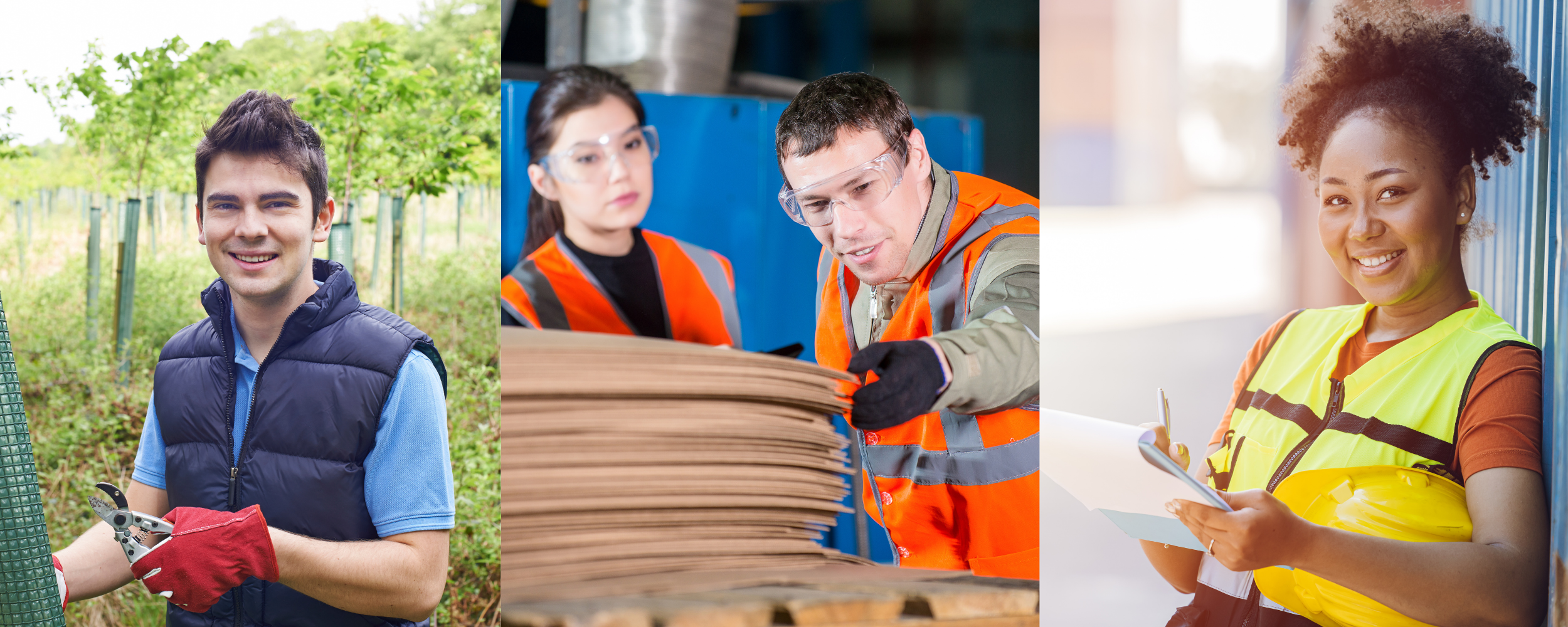 Testimonial from someone in the workforce. (1).png