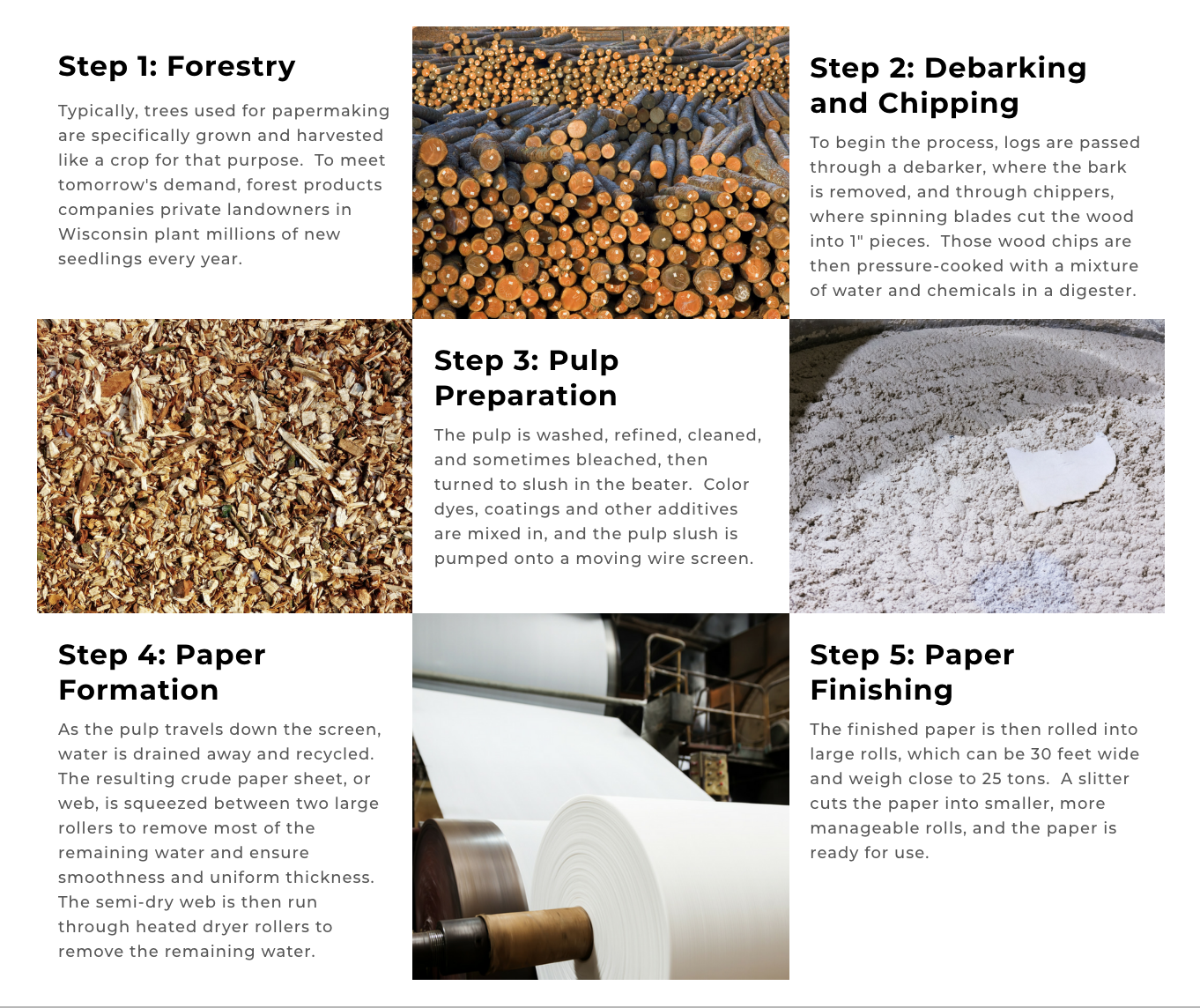 10 Intriguing Facts About Papermaking 