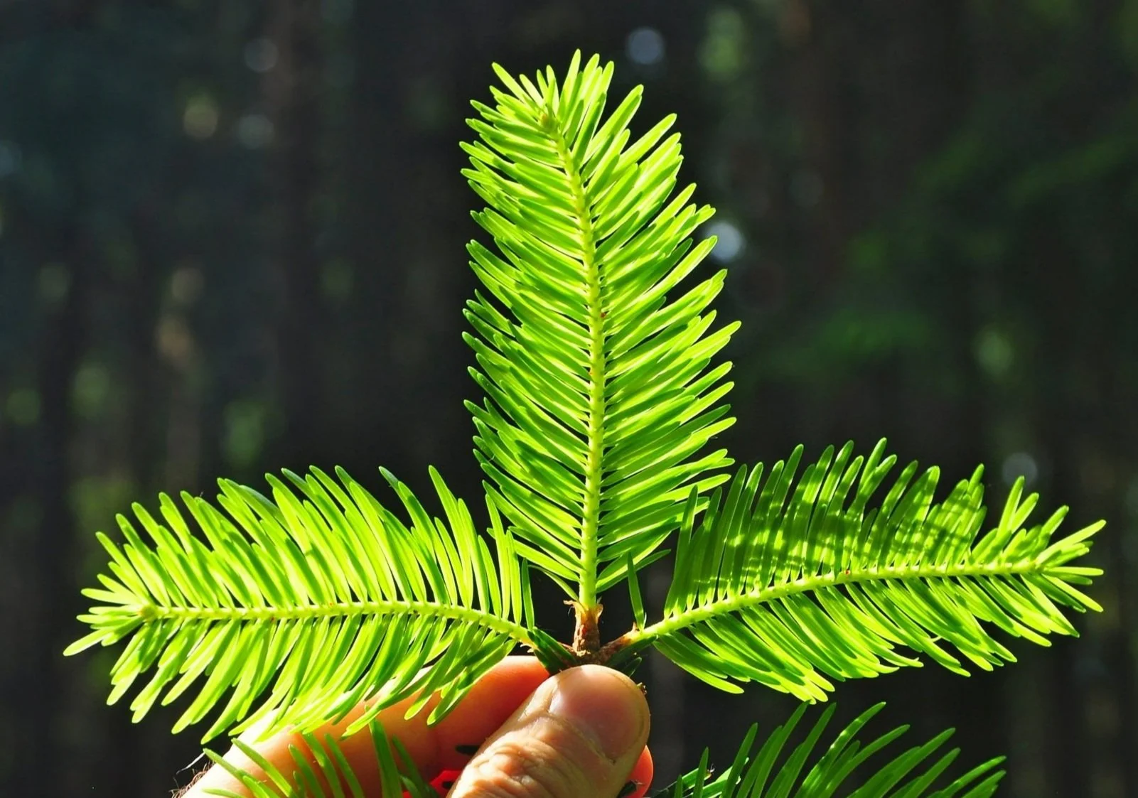 AdobeStock_128397381.jpg