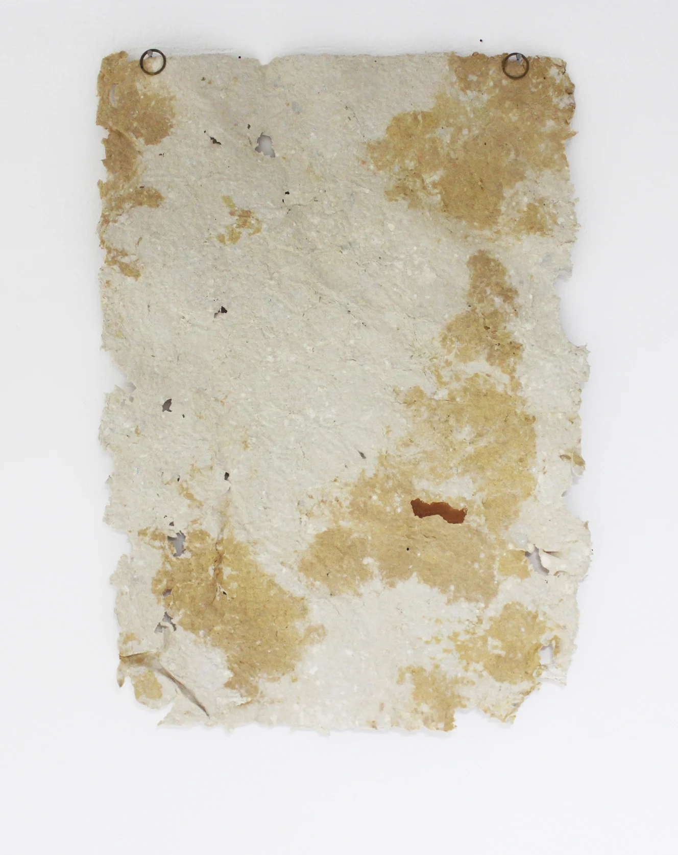 Lie, 2018Handmade paper and paint from collected pigment, made using paint brushes from my hair.18.5 x 26 inches