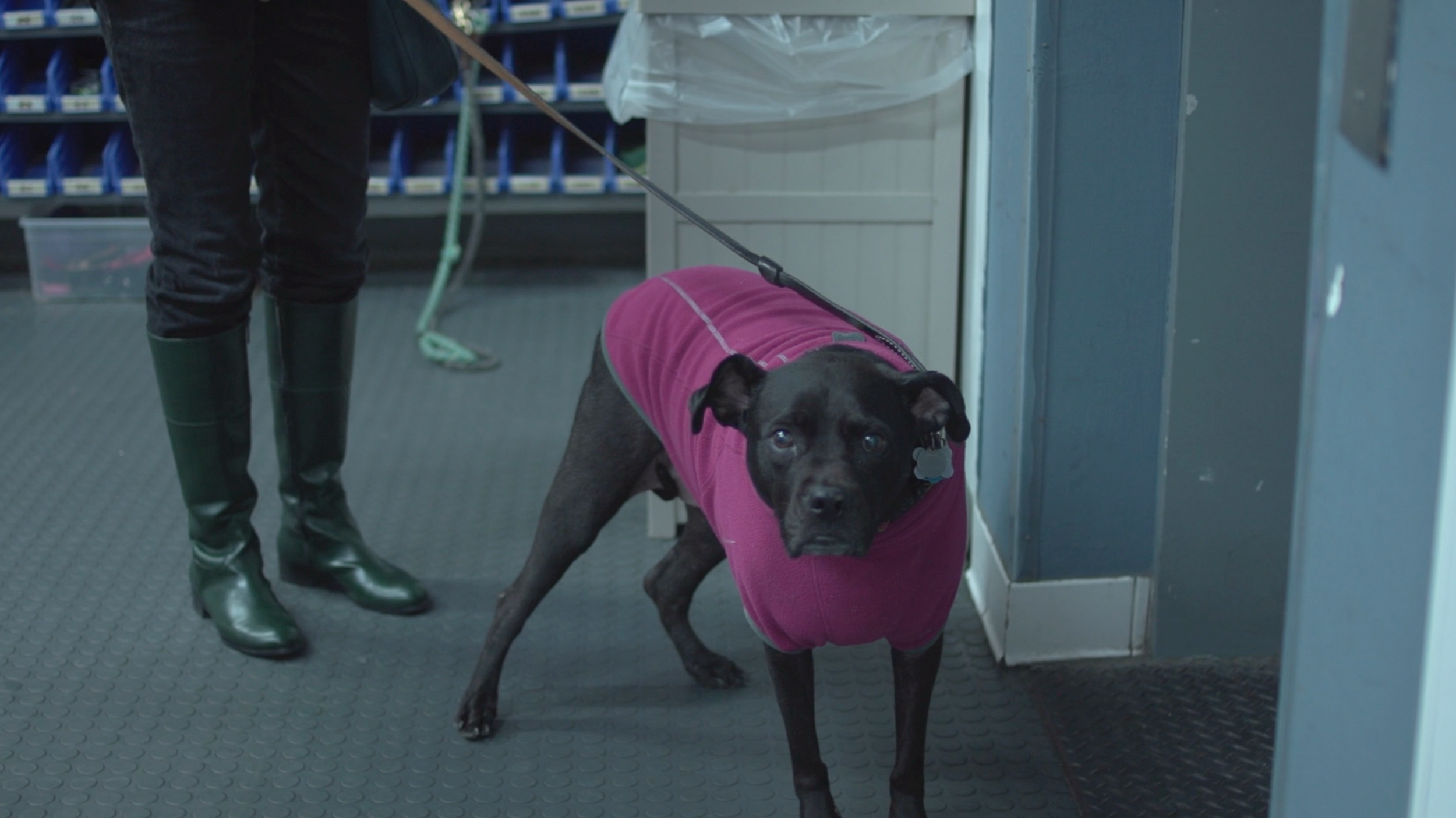 Screen Shot 2018-07-20 at 12.06.24 AM.png