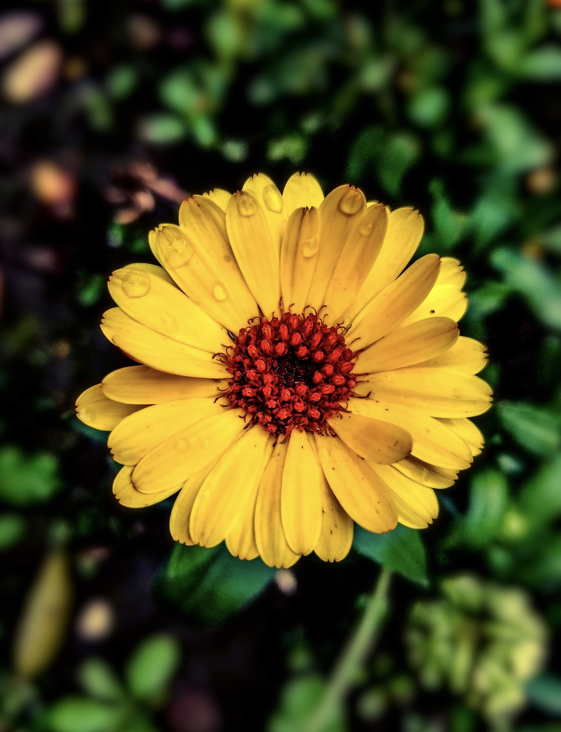 unsplash-image-9v3e1UCzTks.jpg