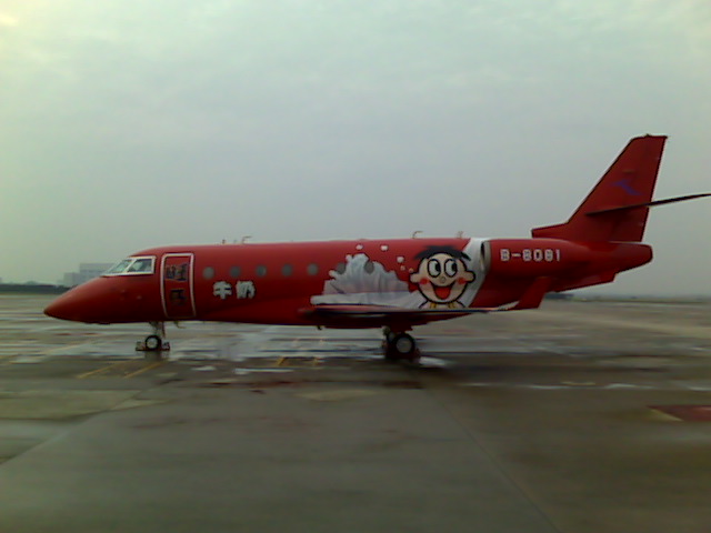 Couldn't resist showing you the paint scheme on the aircraft parked next to us in Shanghai, what were these people thinking?