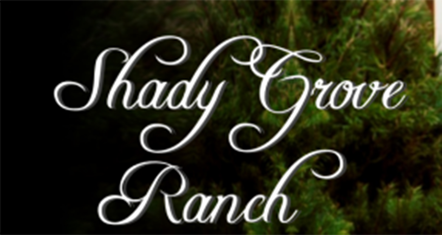 shadygroveranch.jpg