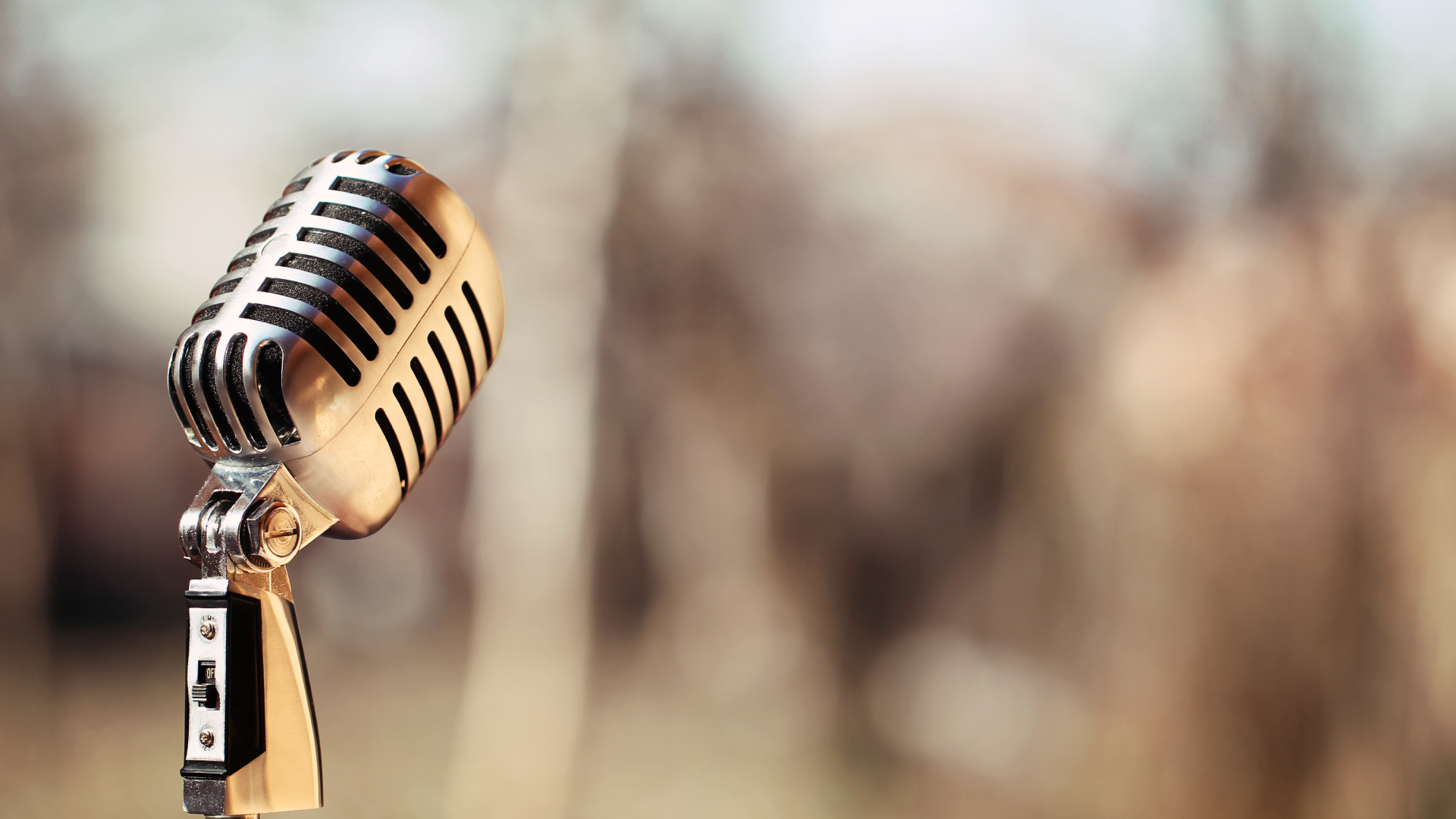 mic_web_hdr.png