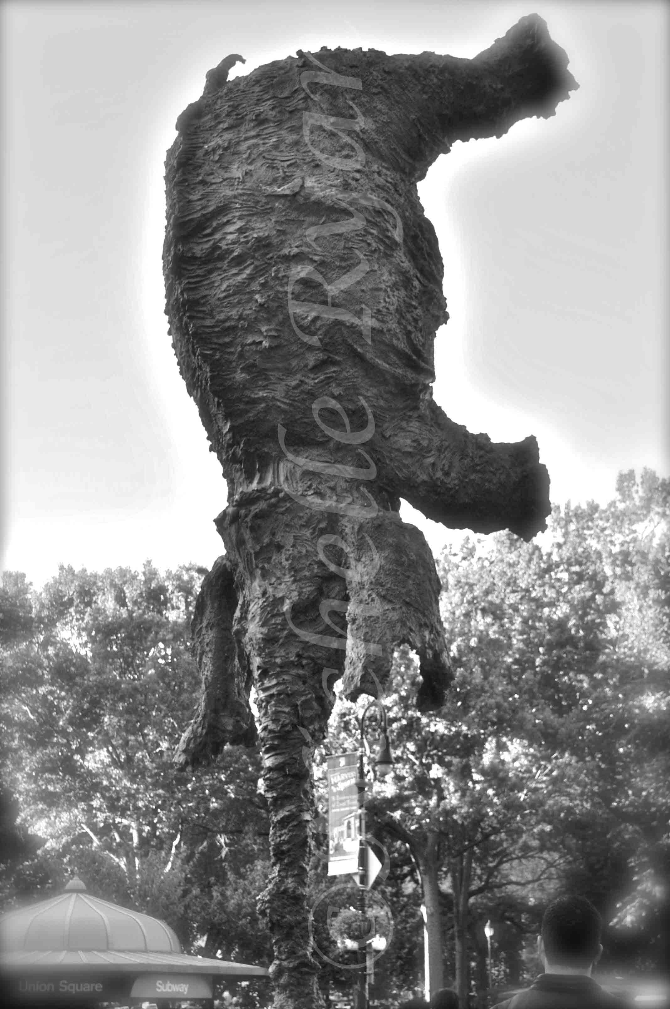 elephant.jpg