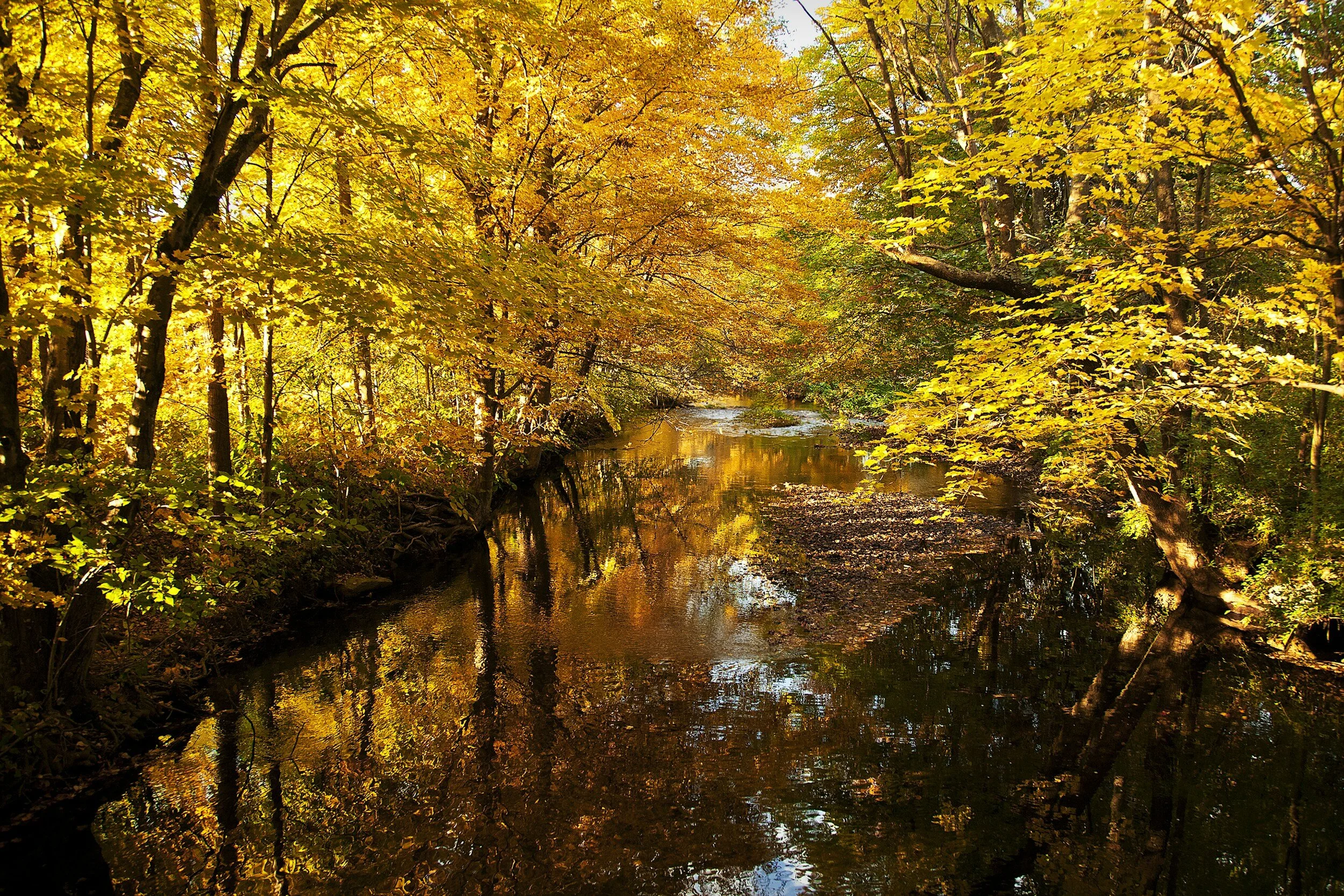 Monthly Meeting - Tangular Irby - Gee's Bend Descendant 