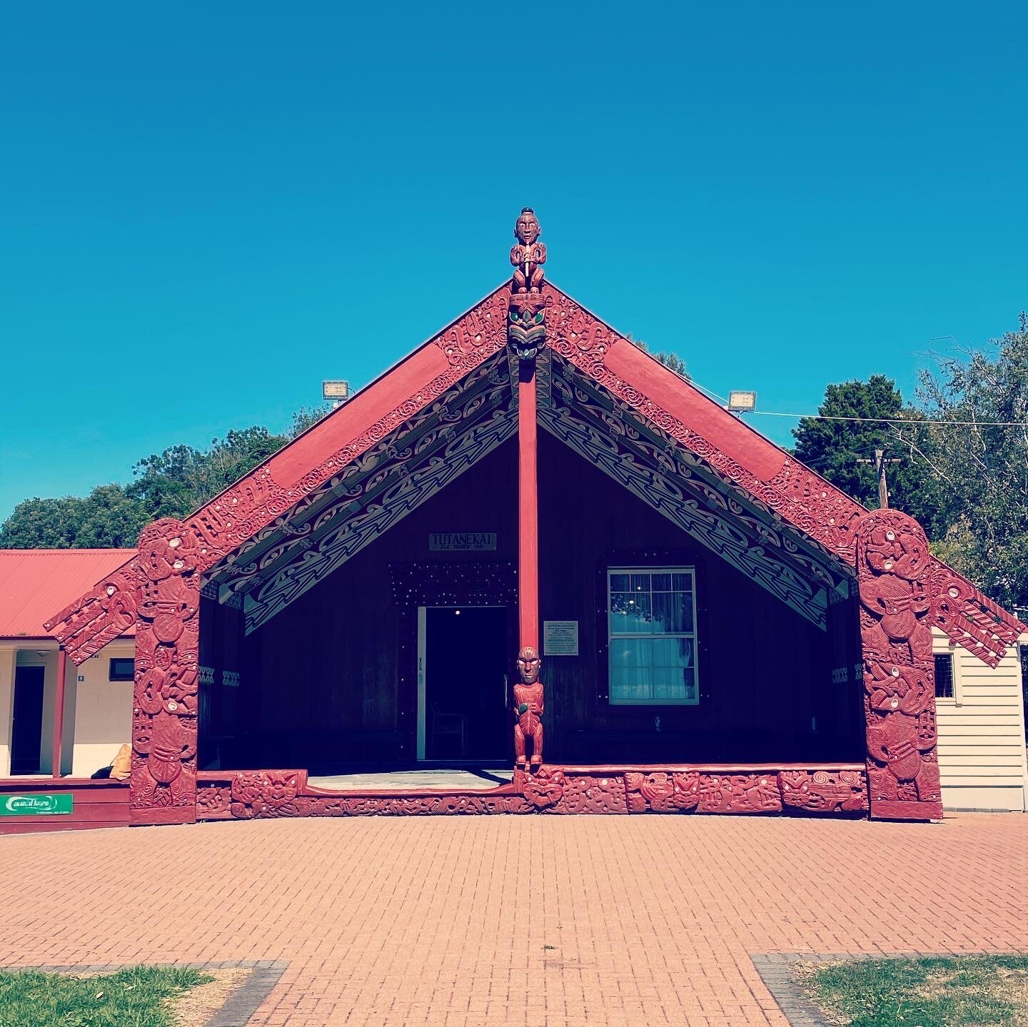 My Whakaaro On COVID