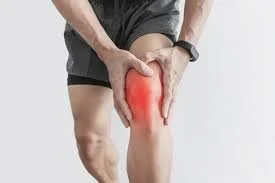 Hemp Seed Oil for Knee Arthritis: Clinical Trial Shows Real Pain Relief