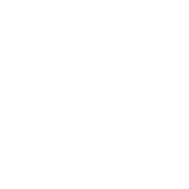 bus.png