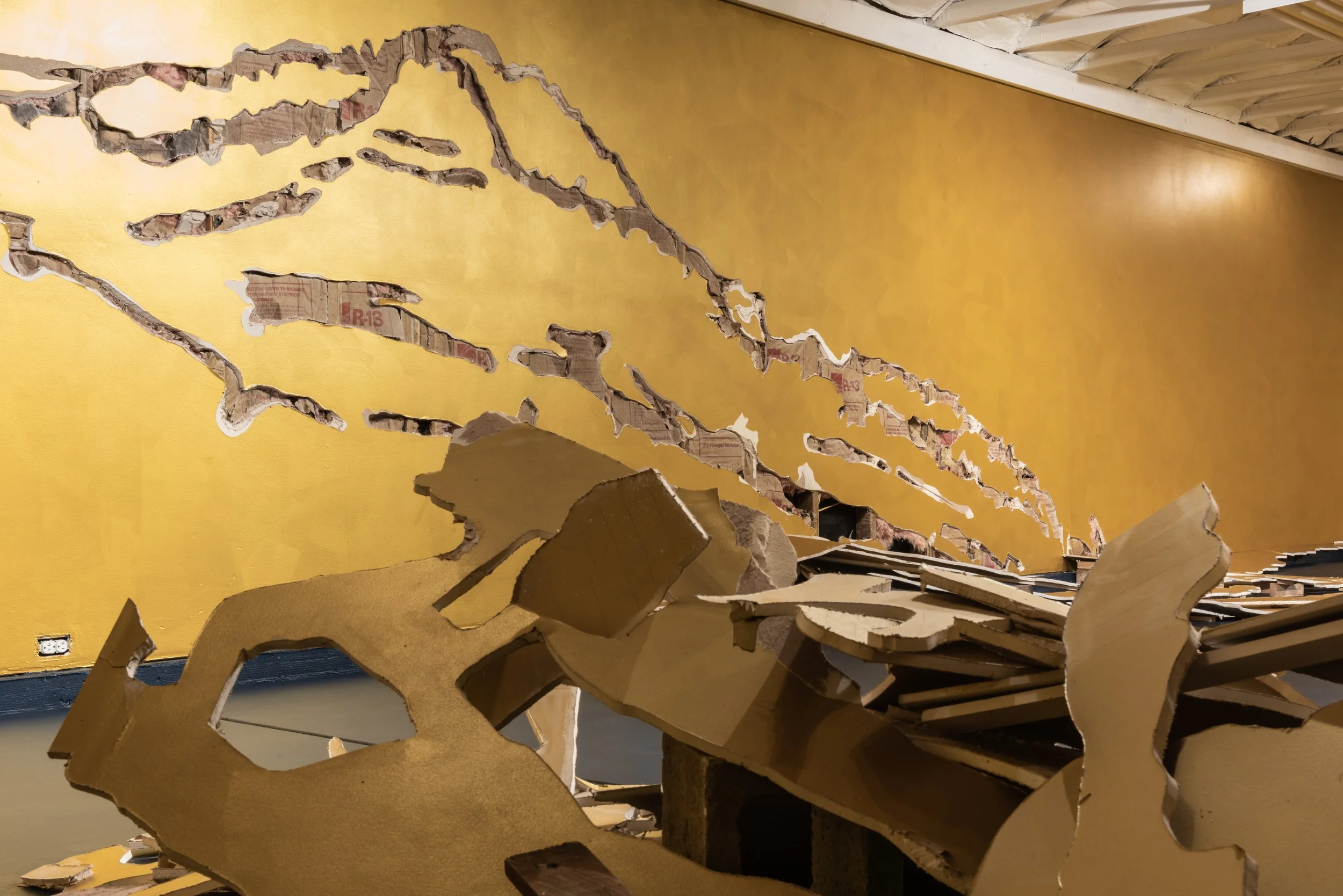 Jodi Connelly-16.jpg