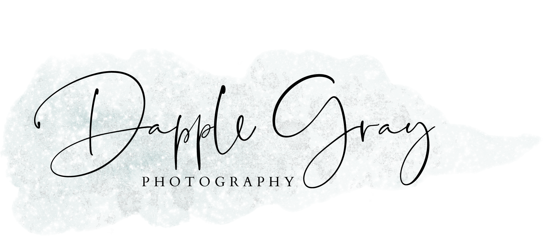 Dapple Gray Photography