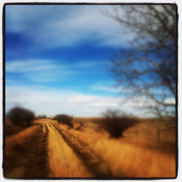 Screen Shot 2018-11-16 at 10.03.01 AM.png