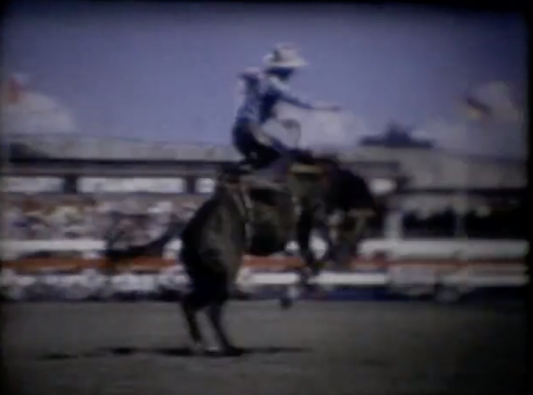 Screen Shot 2018-11-16 at 10.10.32 AM.png